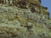 English: Bulverhythe cliff face. Cliff showing evidence of corrosion, corrasion and hydraulic action. Sandstone upper layers. Clay lower layers.