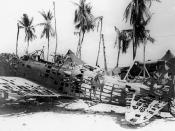 Wreckage of a Japanese Aichi D3A Val dive bomber in the Gilbert Islands, in late 1943. The aircraft seems to have been stripped of its skin by souvenir hunters.