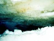 Antarctic krill scraping ice algae in Antarctica. Image taken with a ROV, see testing on the ATOLL laboratory.