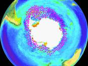 Krill distribution on a NASA SeaWIFS image – the main concentrations are in the Scotia Sea at the Antarctic Peninsula