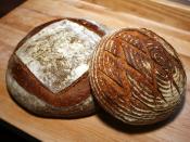 Two naturally-leavened (sourdough) loaves. Front: 90% white flour, 10% rye sourdough loaf proofed in a coiled-cane brotform. Back: A 3-pound whole-wheat miche. Both were leavened using a 100% hydration sourdough starter.