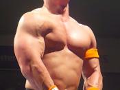 English: This is John Cena at the RAW Wrestlemania Revenge Tour