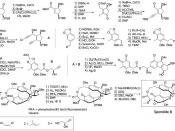English: Total Synthesis of Sporolide B