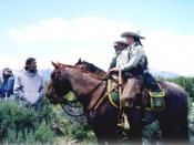 English: United States Forest Service Law Enforcement & Investigations Horse patrol.