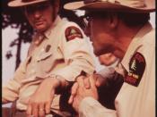 U.S. FOREST SERVICE DISTRICT RANGER (LEFT) FROM LOWVILLE TALKS THINGS OVER WITH FOREST RANGER AT STILLWATER - NARA - 554444