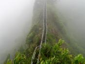 English: i took this picture when i climbed Haiku Ladder (aka. Stairway to Heaven) in July of 2007.