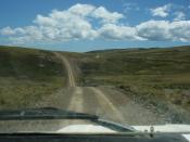 Typical Falklands Road!