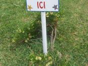 English: Public warning in creole language on Rodrigues island in Port-Mathurin(pas zet salte ici : don't throw any litter here), the plant is Psiadia retusa Français : Panneau d'avertissement en créole rodriguais à Port-Mathurin (pas zet salte ici : ne j