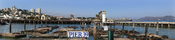 English: California Sea Lions at Pier 39 Français : Des otaries de Californie à l'embarcadère 39 dans la Baie de San Francisco.