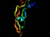 Crystal structure of Vammin, a VEGF-F from a snake venom