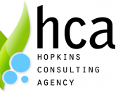 Hopkins Consulting Agency