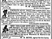 Block of advertisements announcing slave auction and rewards for run away slaves. The Daily Picayune newspaper, New Orleans, 20 March, 1852