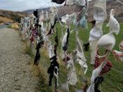 English: Close-up view of the Cardrona Bra Fence, taken the 24th of March, 2006. Photo by Adam Buczynski.