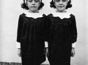 Diane Arbus photograph, Identical Twins, Roselle, New Jersey, 1967.