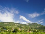 Vineyards in the Italian wine region of Valpolicella in the Veneto. The hillsides of Monti Lessini are in the background.
