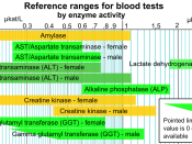 English: Reference ranges for blood tests, sorted by enzyme activity. Values taken from Wikipedia article (see Reference ranges for blood tests. Originally made in Inkscape by Mikael Häggström.