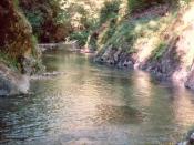 English: Wild and Scenic Elk River, Rogue River-Siskiyou National Forest, Oregon, USA