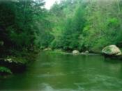 Wild and Scenic Red River in Kentucky's Clifty Wilderness, within the Red River Gorge.