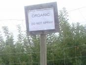 English: Organic apple orchard in Pateros, Washington, USA