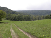English: Valley near Chatel Chéhéry where Sergeant York did his heroics.