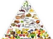 English: Healthy nutrition pyramid with 7 to 9 servings of fruits and vegetables to get precious phytonutrients to feed your body at the cellular level.