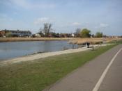English: Canvey Lake A revamped stretch of water that is home to various water birds, fish, anglers and assorted, dumped rubbish.