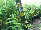 Boudica's Way - footpath markers - geograph.org.uk - 1378686