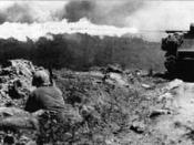 Several M4A3 Sherman tanks equipped with flamethrowers were used to clear Japanese bunkers