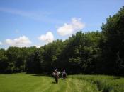 Trail_riding_field