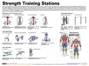 Strength Training Circuit-2
