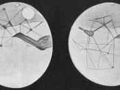 Martian canals depicted by Percival Lowell.