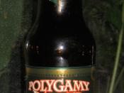 English: A bottle of Polygamy Porter, a porter beer which is controversial in the US state of Utah due to its advertising via religious themes