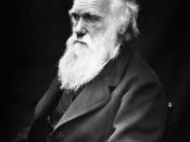English: Charles Darwin (1809-1882) in his later years. This image is flipped. Darwin's mole was on the right side of his nose.
