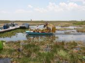 Airboat tours at the Florida Everglades