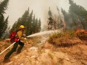 English: Lolo Pass, MT, August 18, 2003 -- A firefighter from Bridger Fire Inc. out of Bozeman, Montana works on putting out spot fires that erupted on the Hopeful 2 fire near the Lolo Pass in Montana. Photo by Andrea Booher/FEMA