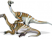 Nanshiungosaurus is a genus of coelurosaurian dinosaur, and like other members of that infraorder, the animals of this genus probably possessed large claws, but since nothing of the skull, tail, ribs or limbs have been found, analysis has focused solely o