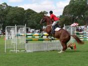 English: Showjumping horse and rider at the 2006 Mt Pleasant Show