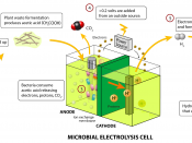 English: A schematic of a microbial electrolysis cell.