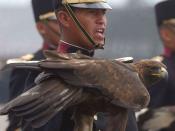 Infantry Sergeant Cadet 2nd class, holding a golden eagle depicted in the Heroic Military College coat of arms.