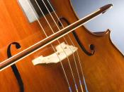 English: Study of a three-quarter size cello. Français : Étude d'un violoncelle taille trois-quarts.
