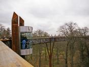 English: The Xstrata Treetop Walkway and Rhizotron, Kew Gardens, Surrey Nearly done the complete circuit, just before the final walk before descending the stairs, we have this view of the lift access, which is primarily for elderly or disabled people.