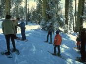 United States National Park Service photo of snowshoeing in Yosemite National Park