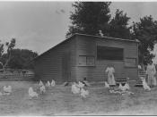 Indian women feed chickens in front of chicken house at Springfield, South Dakota, Indian School. - NARA - 285795