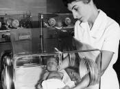 Miss Haxby is holding a newborn baby that is in an incubator at the Toronto Western Hospital in Toronto, Ont