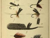 Plate VII From Rod Fishing, Henry Wade (London 1860)