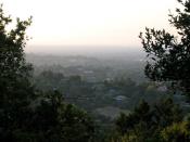 Los Altos Hills in the twilight.