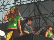 English: Ari Up, Tessa Pollitt, and Adele Wilson of The Slits, performing at McCarren Park Pool, NYC, on Jul 28 2007. Video still from PUNKCAST#1184.