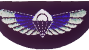 UK Special Air Service Wings
