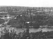 Bellevue seen from Meydenbauer Bay in 1902