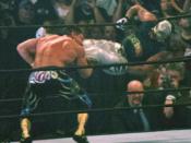 English: Rey Mysterio hitting his 619 (Tiger Feint Kick) finisher on Eddie Guerrero at WrestleMania 21. I took this picture personaly when I attended WWE's 21st annual WrestleMania PPV event.